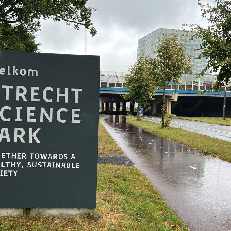 Belager fietsende vrouwen eerder veroordeeld voor zedenmisdrijf ...