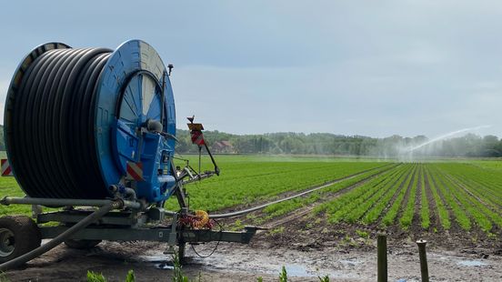Hydroloog pleit voor vergunningsplicht voor grondwateronttrekkingen in Limburg Home