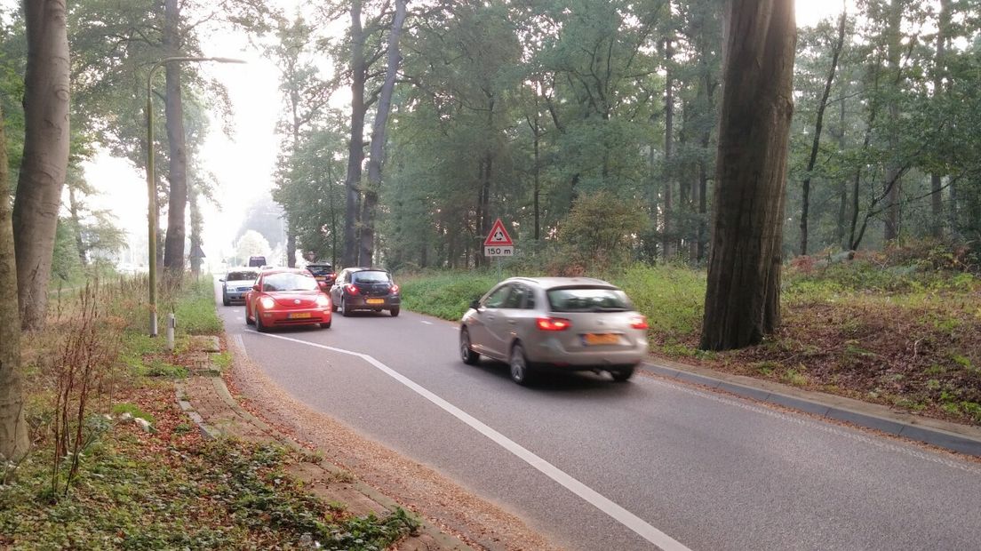 Hummeloseweg tussen Hummelo en Laag-Keppel.