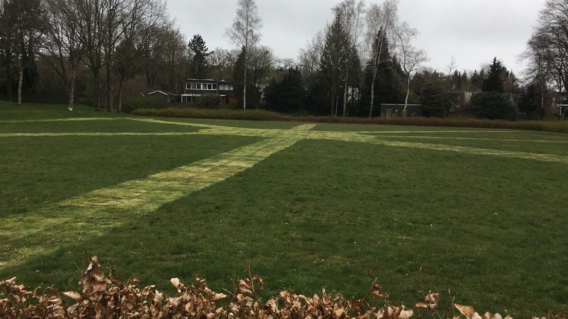 De lijnen op het grasveld in Emmen (Rechten: Rene de Groot)