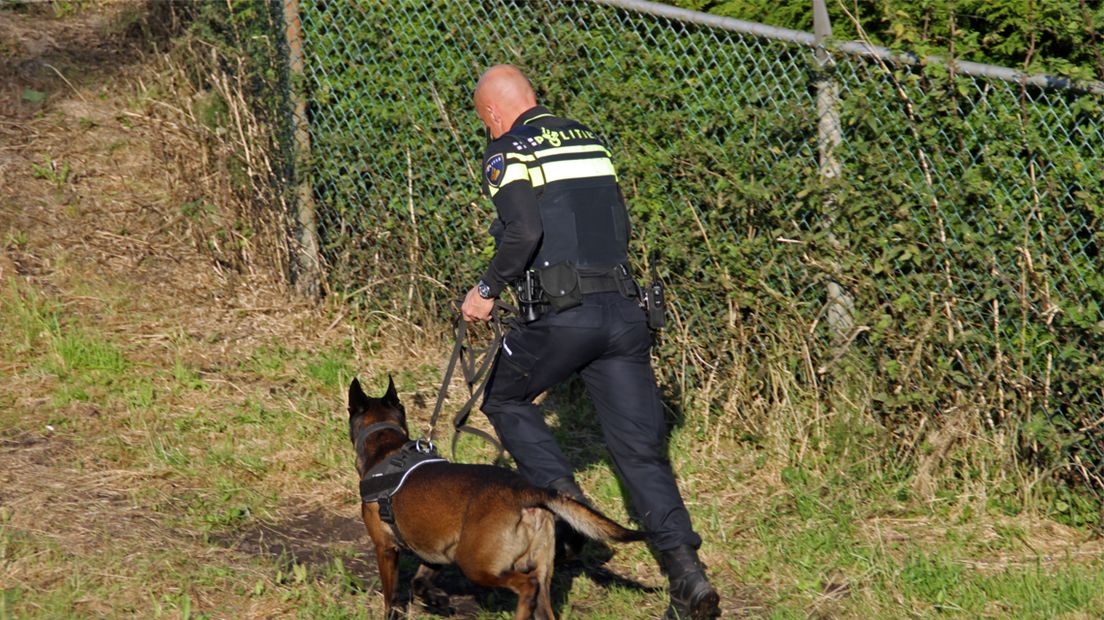 Een politieagent zoekt samen met een speurhond naar het wapen dat gebruikt zou zijn bij de steekpartij aan het Hoevenbos.