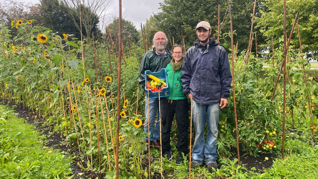 In deze duurzame tuin in Groede kan je ook zonder groene vingers terecht