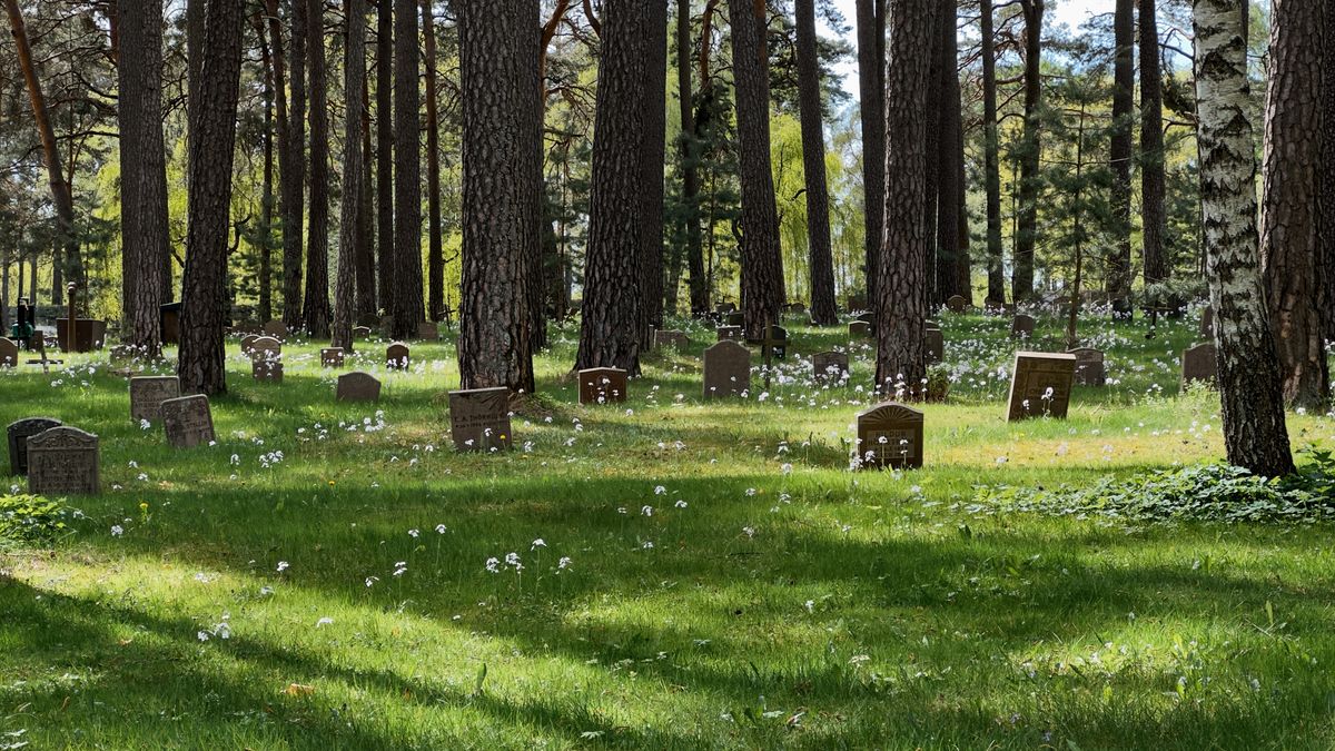 Plan voor natuurbegraafplaats naast camping De Lutte kan voorlopig doorgaan