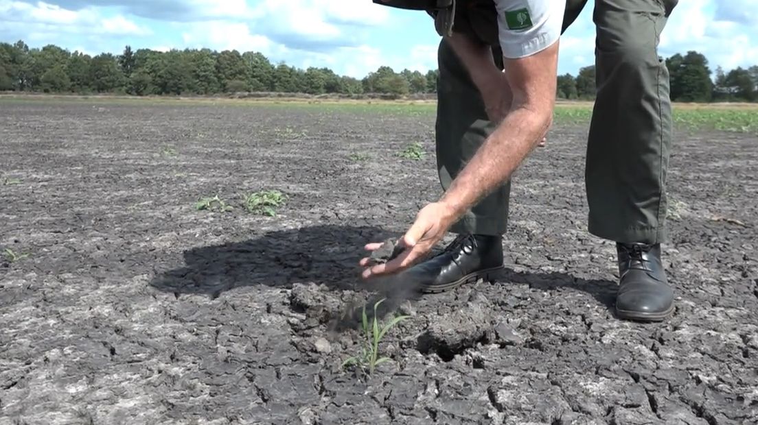 Het Elpermeer is door de droge zomer veranderd in een grote, dorre vlakte (Rechten: RTV Drenthe)