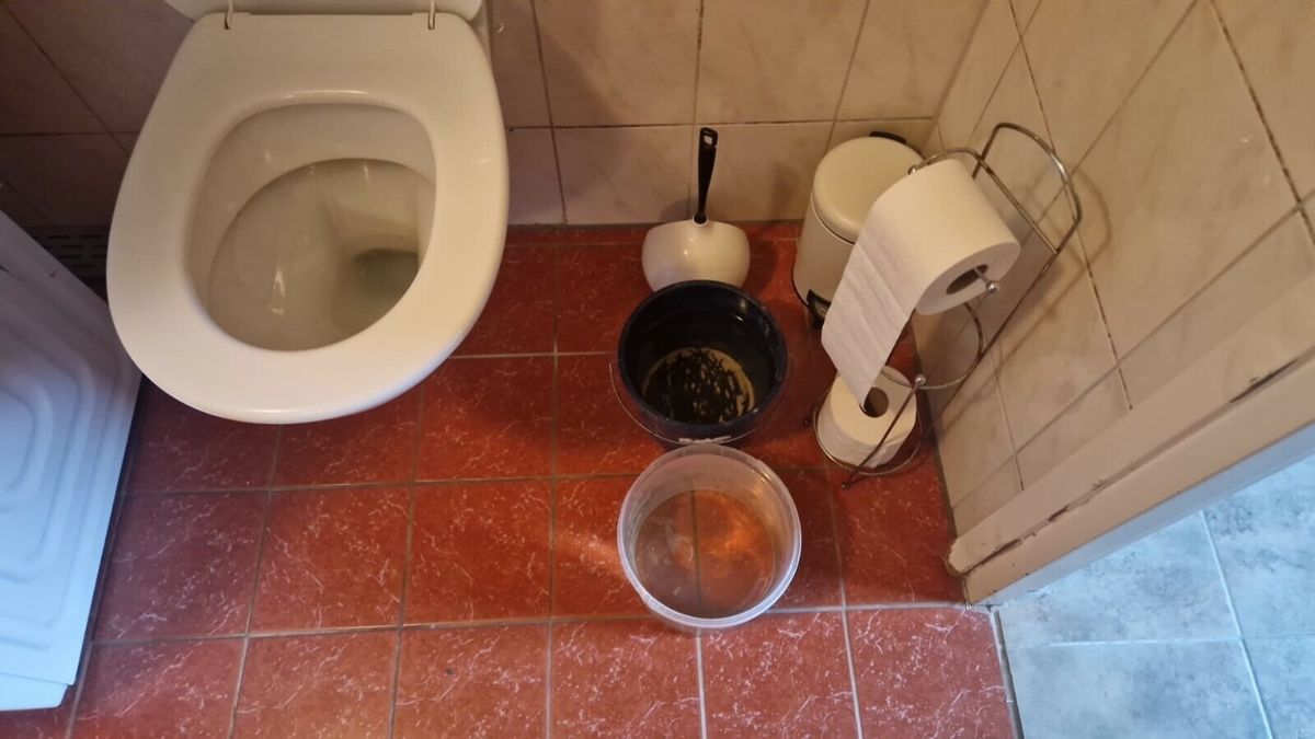 Cliënten zorgboerderij Wolphaartsdijk al dagen zonder water, oplossing nog niet in zicht