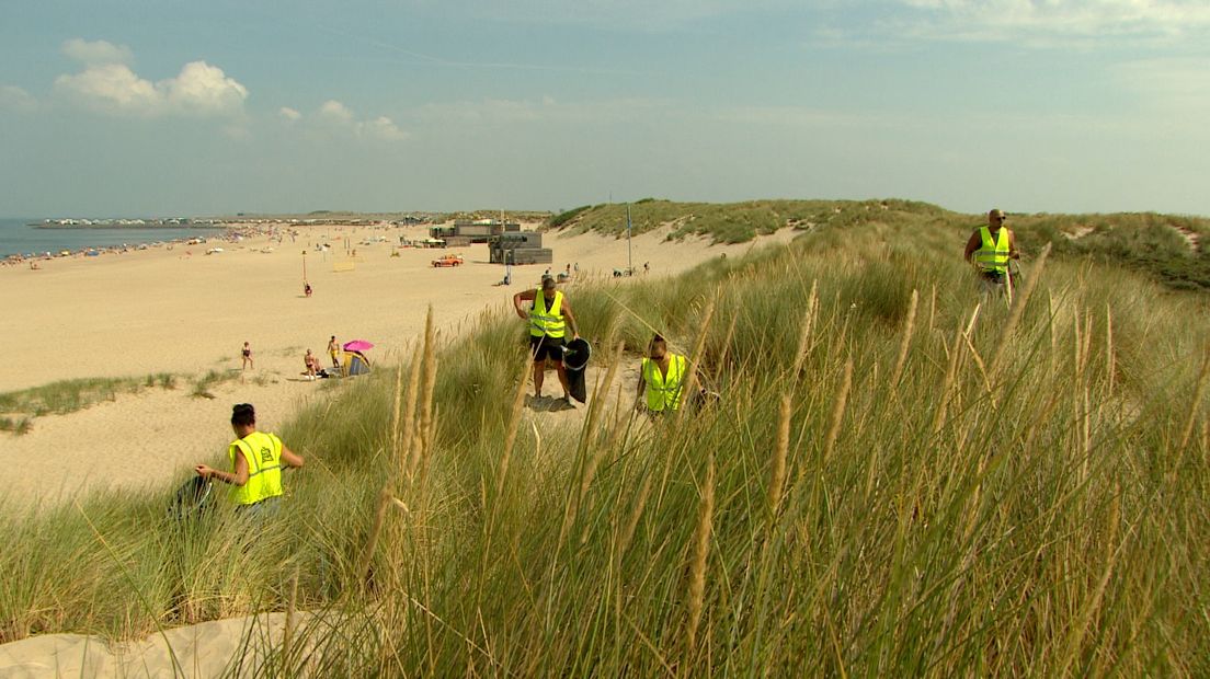 Bende van het strand aan het werk in de duinen bij Scharendijke