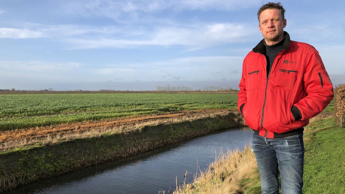 Rechter oordeelt morgen over rietproef: 'Funest voor mijn aardappelen'