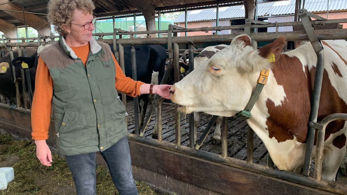 Joke van Egteren uit Diepenheim boert ook na 'Remkes' rustig door