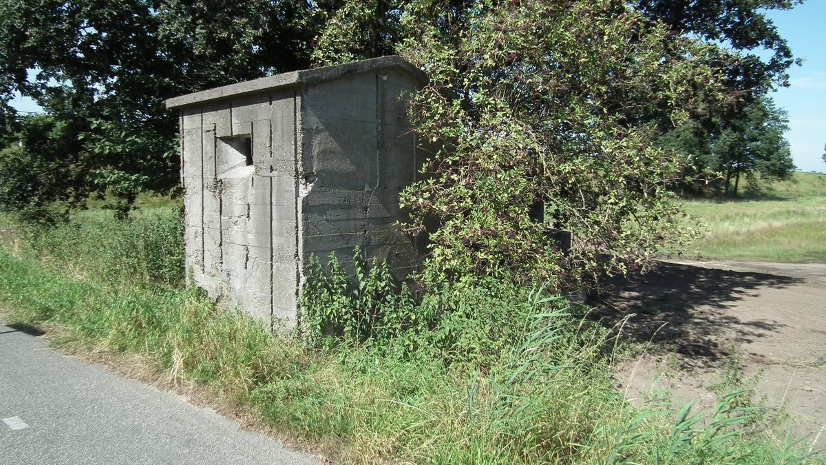 Nederweert wil meer aandacht voor historische bunkers: ‘Nu bijna onzichtbaar en onbeheerd’