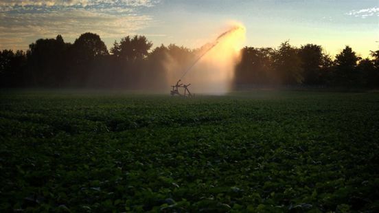 De strijd tegen de droogte in Limburg: een groot verschil tussen woord en daad Home