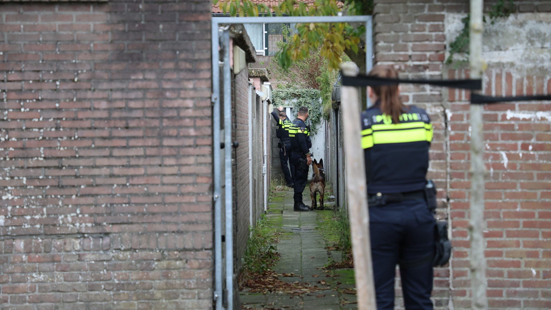 Politie doet buurtonderzoek na woningoverval