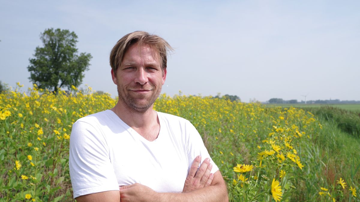 Bouwboeren aan Waddenkust willen met nieuwe gewassen duurzamer kweken: "We proberen het gewoon"