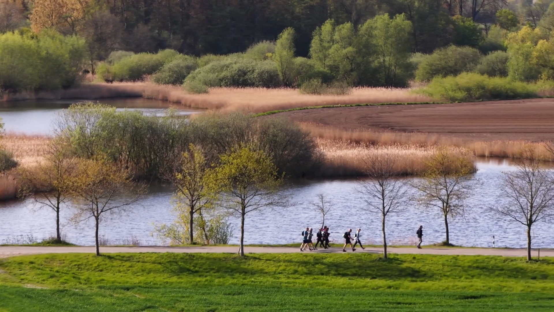 LIVE: Zonovergoten editie wandelmarathon Zeeuws-Vlaanderen • 11 kratten bier voor marathon op klompem