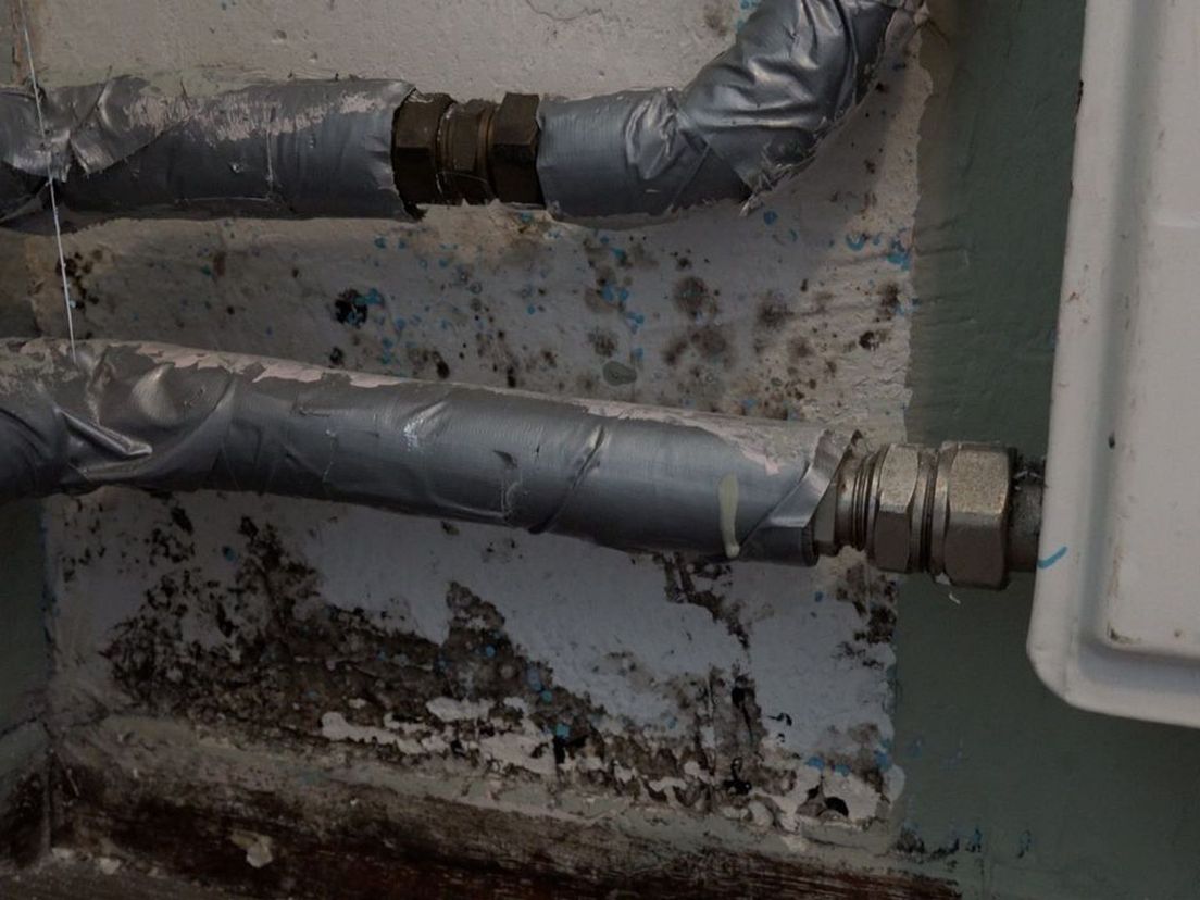 Schimmel in de slaapkamer van de dochter