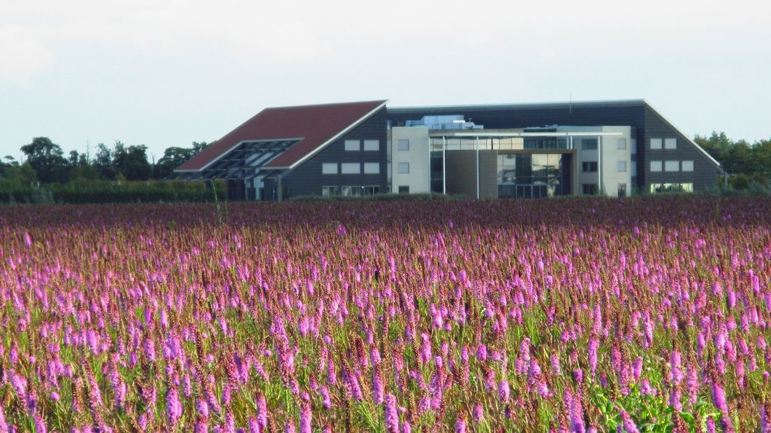 Aanmeldzuil Tholen niet in gebruik genomen vanwege bug