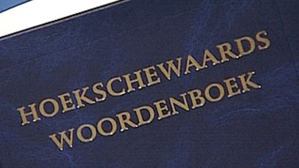 Wat is een Kiekendief en waar komt het woord vandaan? - Rijnmond