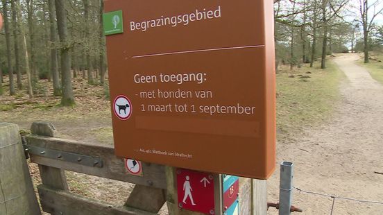 Broedseizoen is begonnen, pas op wat je doet in de natuur