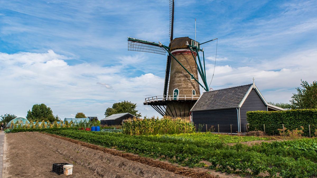 'Als er geen schwung meer in een dorp zit, dan gaat het ten onder'