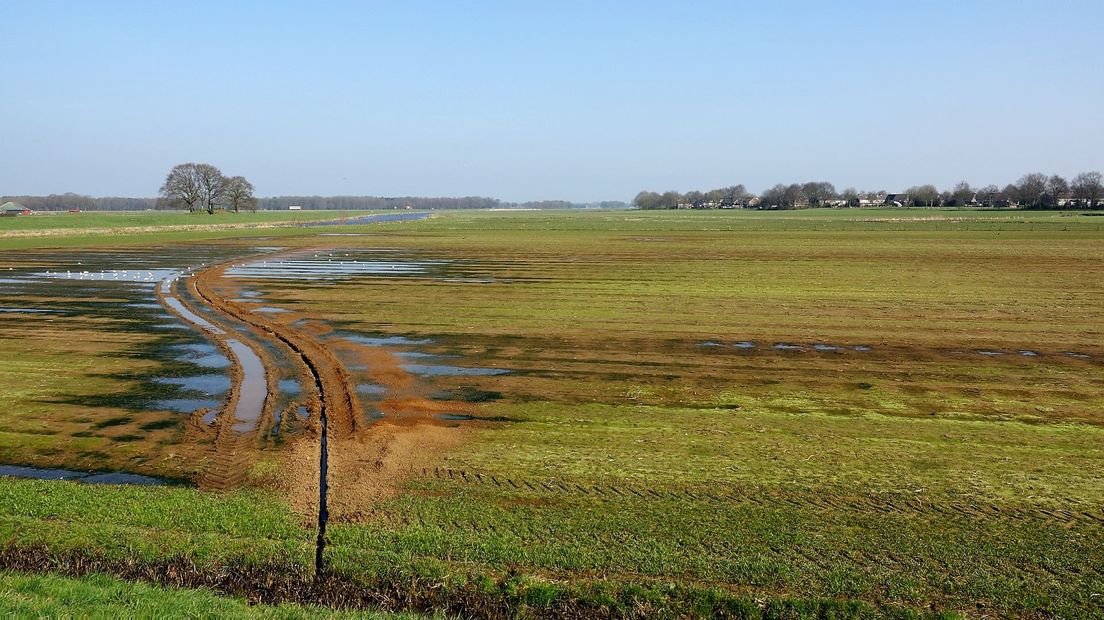 Baalder Uiterwaard Hardenberg