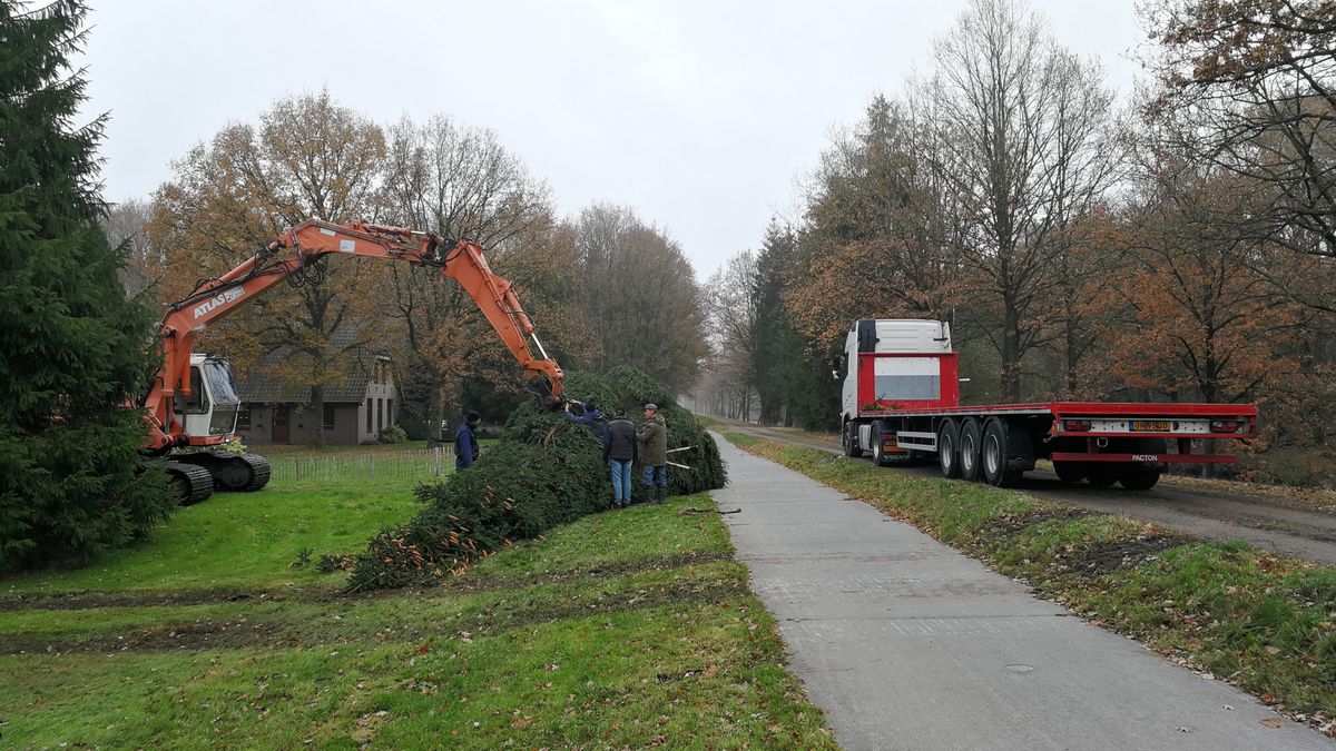 Heel Nederland krijgt kerstbomen uit Tiendeveen