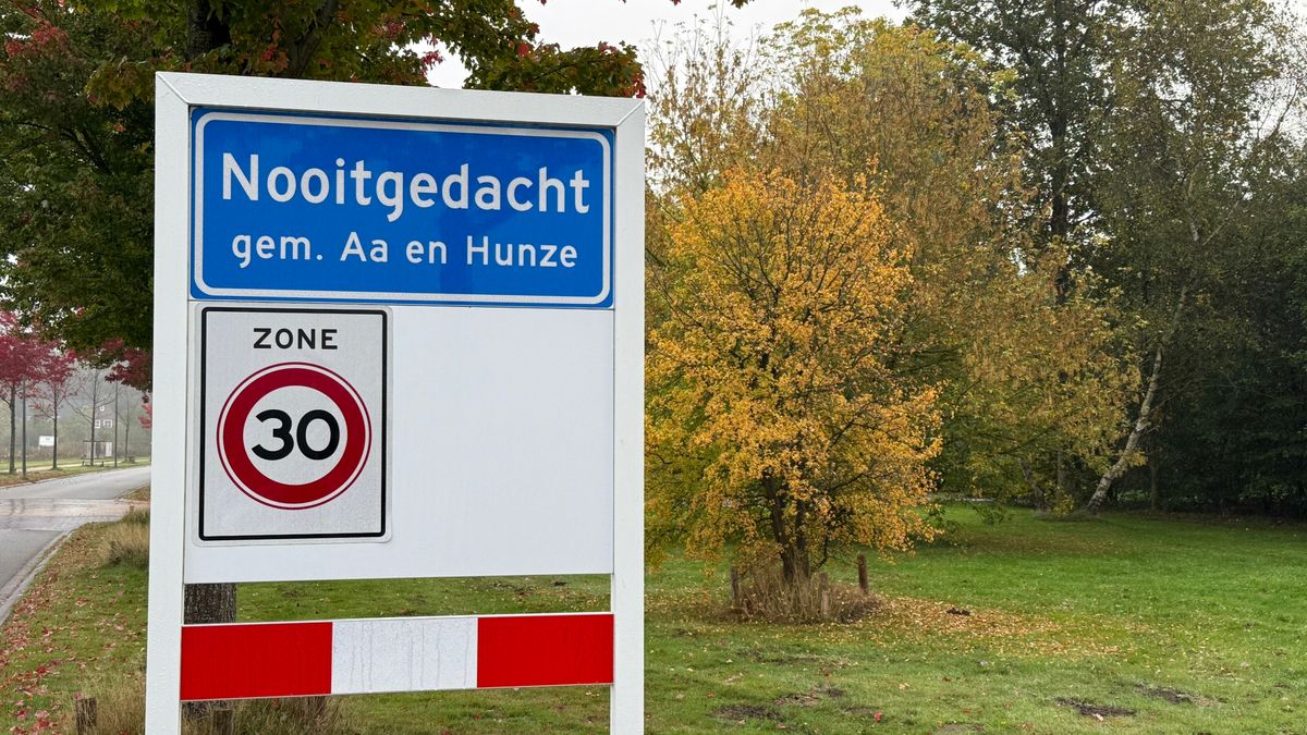 Geen plek in Aa en Hunze: groot deel gekapte bomen Nooitgedacht teruggeplant in Groningen