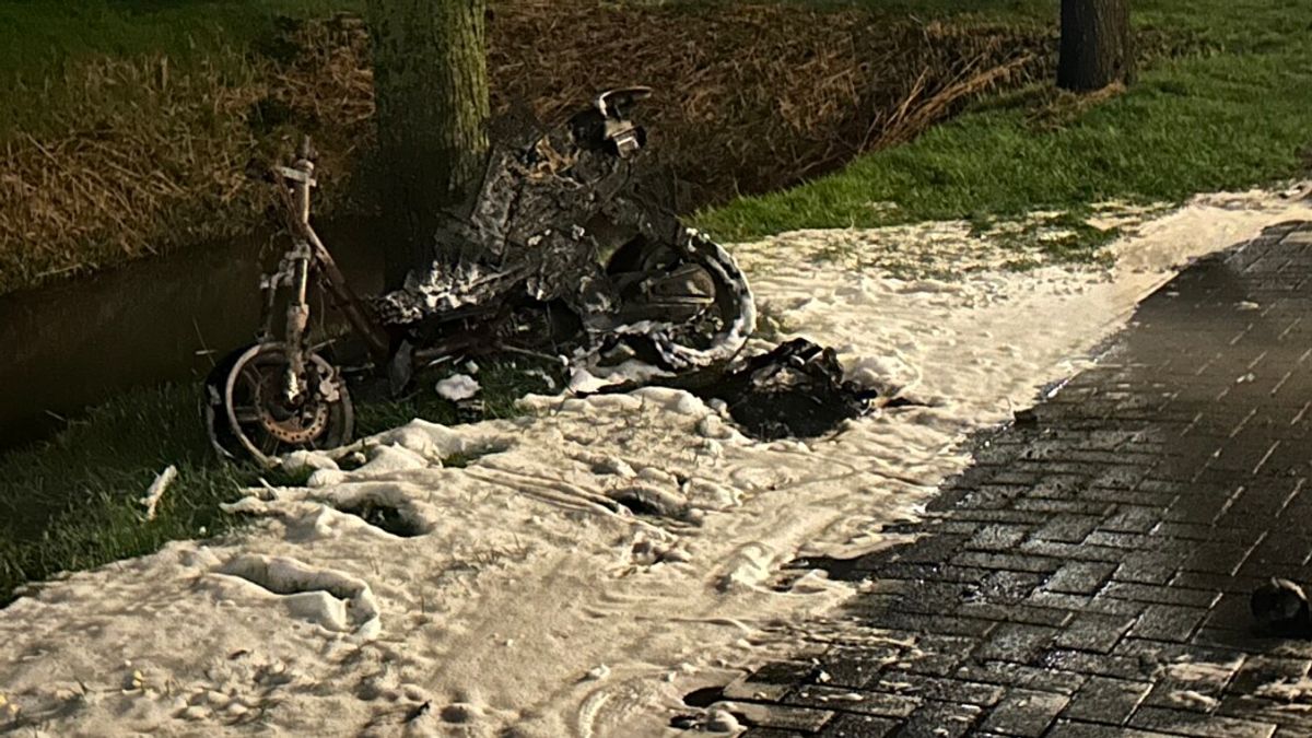 Drie gewonden bij ongeluk Reduzum | Wolf gezien in Aldtsjerk
