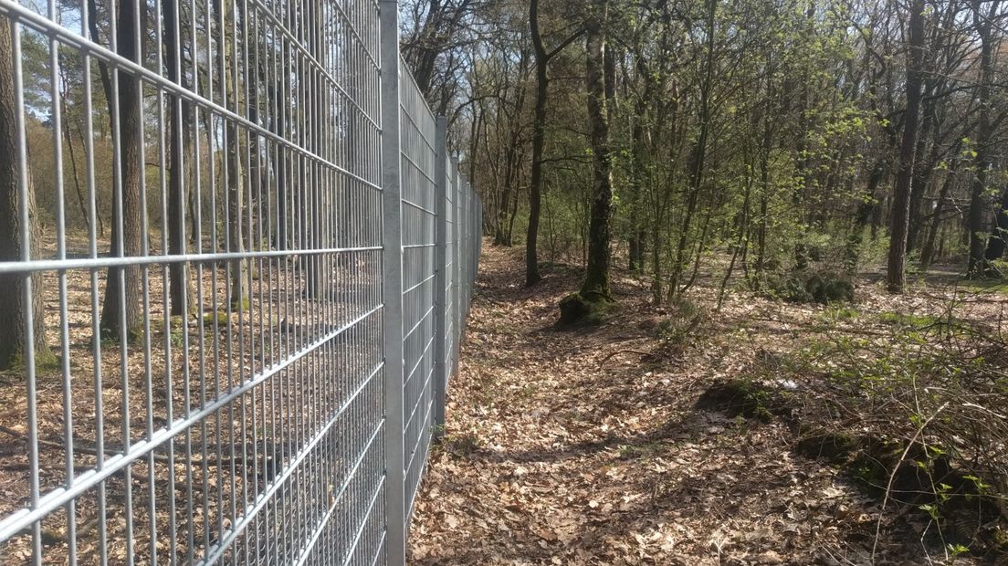 De gemeente Ede moet mannenontmoetingsplaats 't Ginkelse Zand langs de A12 weer toegankelijk maken. Dat vindt belangenclub Platform Keelbos, die woensdagochtend tegenover de gemeente stond in de rechtbank in Arnhem.