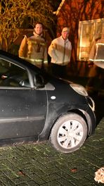 Vos onder de motorkap