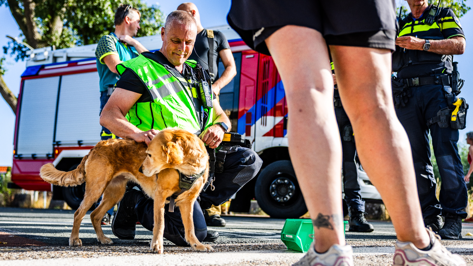 De hond is geschrokken, maar raakte niet gewond.