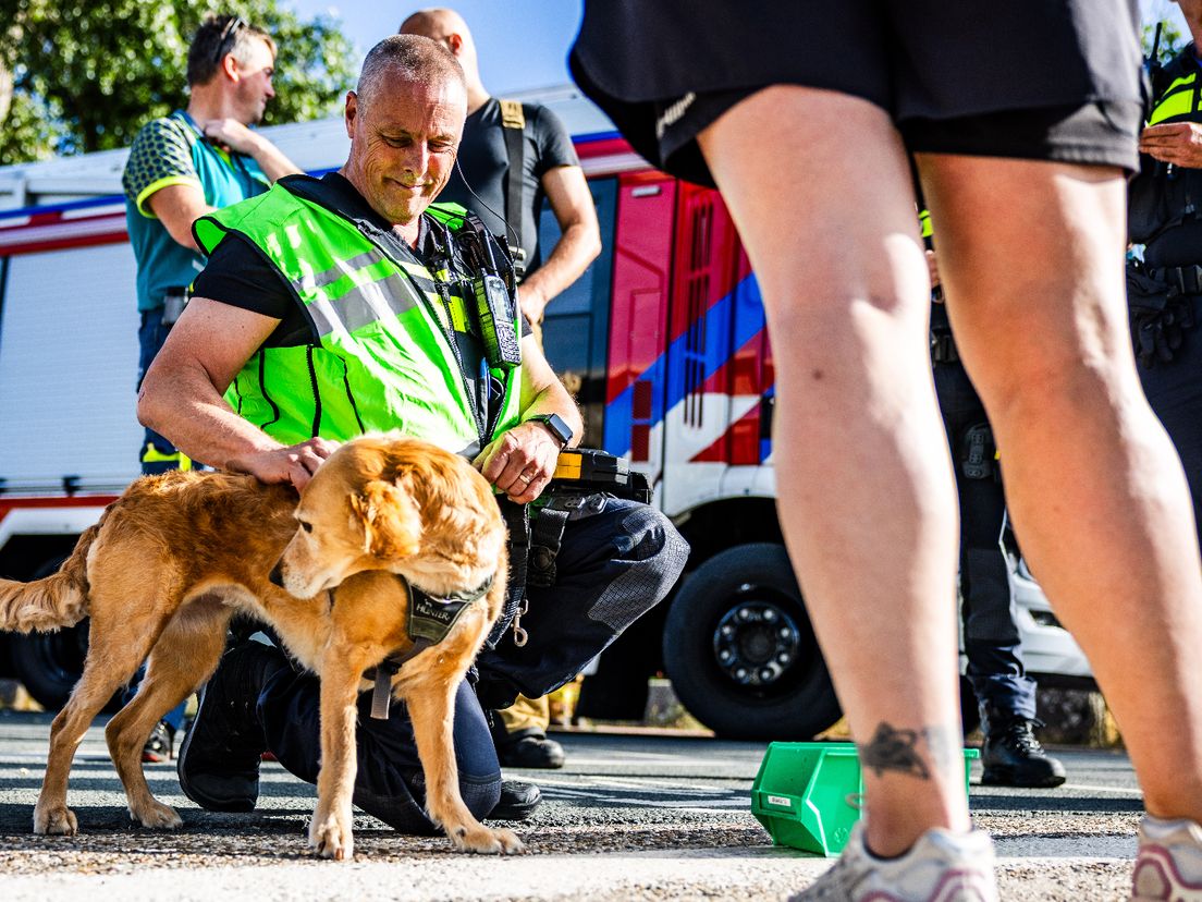 De hond is geschrokken, maar raakte niet gewond.