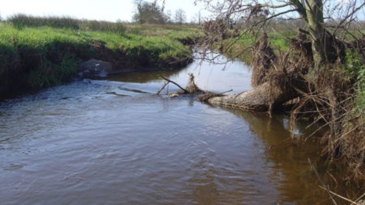 Waterschap laat Gasterense Diep dichtslibben