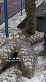 Dol op bijzondere bruggen