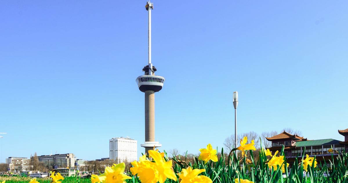 Hoe kan dat? Omwonenden Euromast horen fluittoon wel maar onderzoekers op de Euromast niet