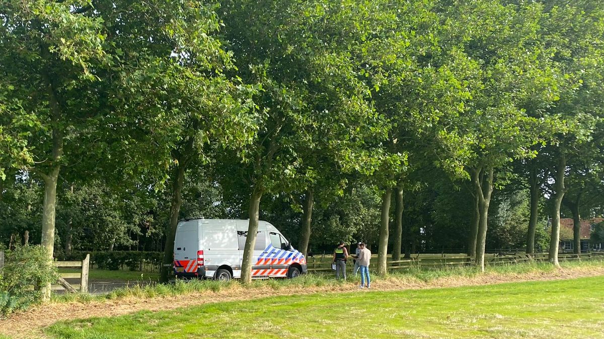 Tbs voor moordenaar Henk Cijsouw met twee jaar verlengd: 'Ik heb elke dag spijt'