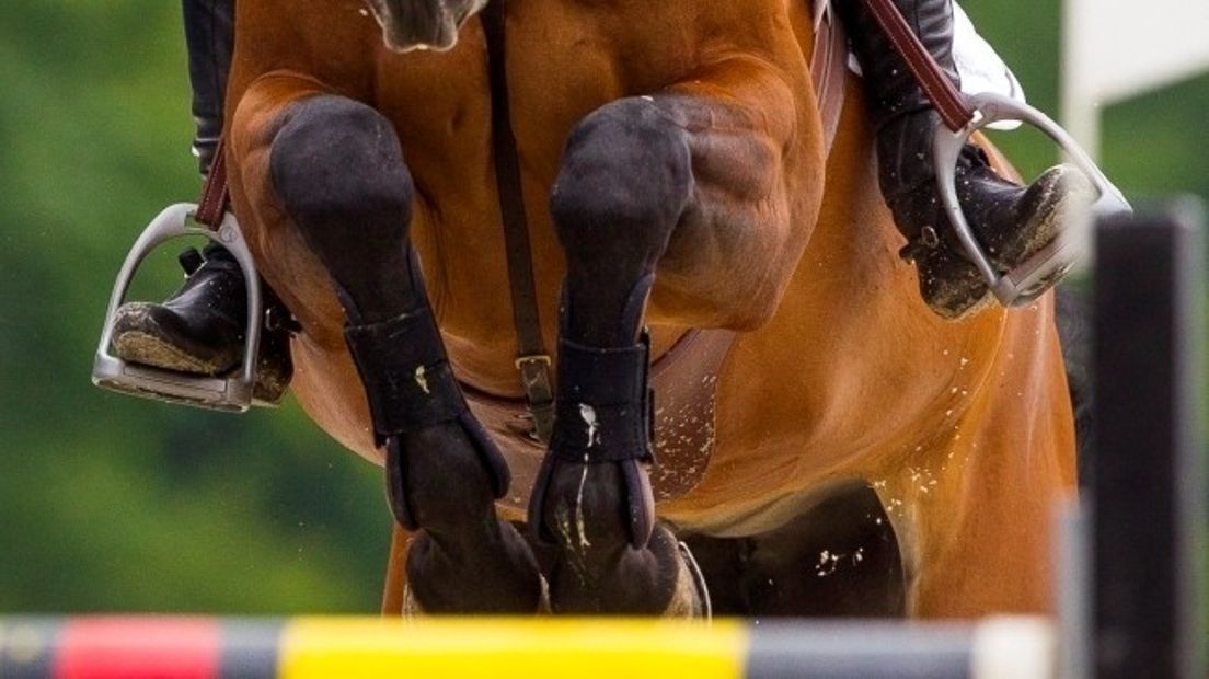 Jumping Indoor Nieuwland afgelast vanwege paardengriep