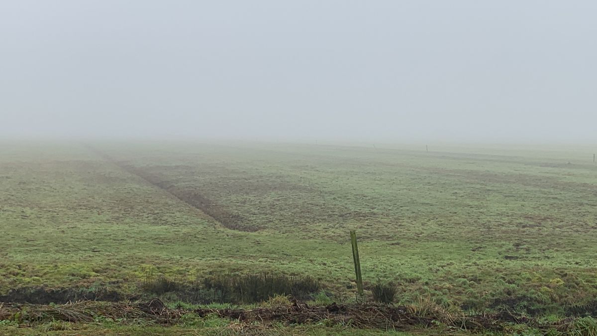 6.500 voetbalvelden: zoveel Friese natuur is de afgelopen tien jaar verdwenen