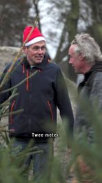 Tom verkoopt kerstbomen