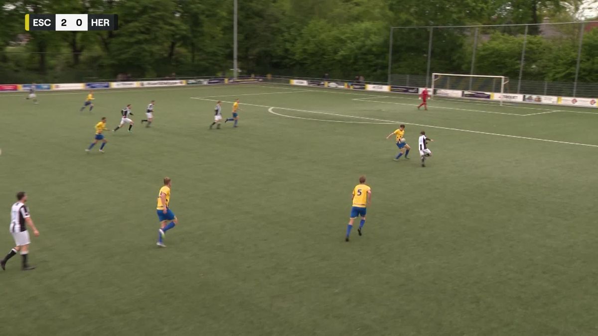 Samenvatting De Esch - avc Heracles