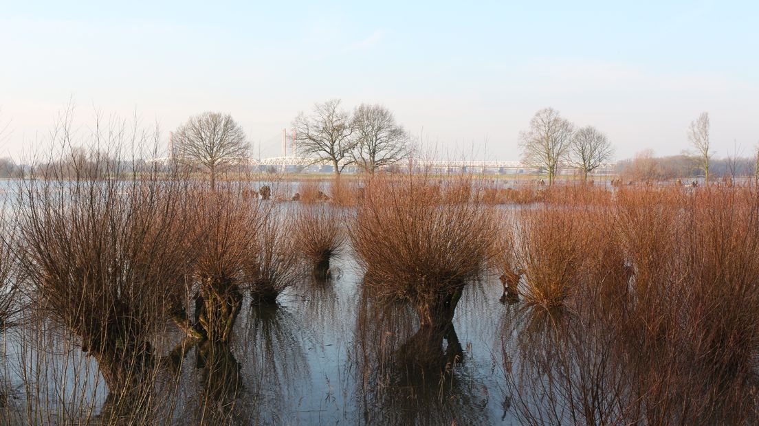 Waterschap Rijn en IJssel neemt maatregelen om de waterstanden na de overvloedige sneeuw- en regenval van de afgelopen tijd weer op peil te krijgen.