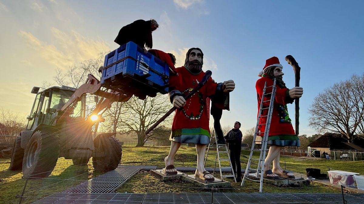 Ellert en Brammert in kersttruien: 'Ze zien er heel tevreden en knuffelbaar uit'