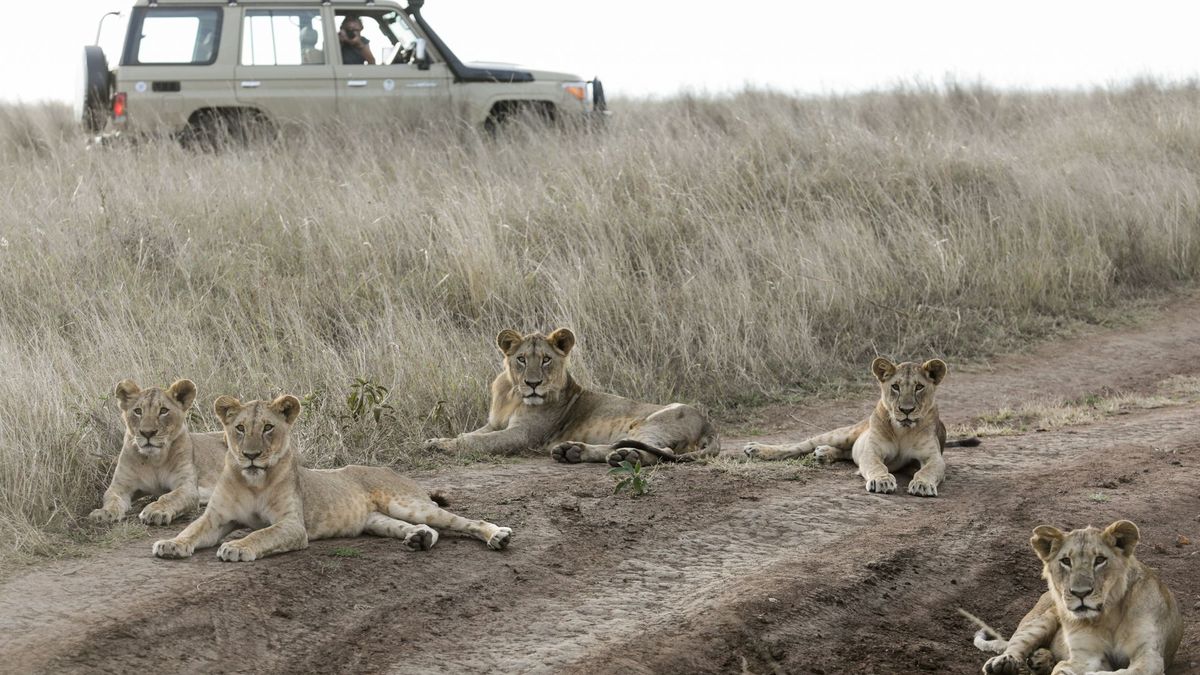 Dierenarts waarschuwt voor keerzijde van wildlife-vakanties