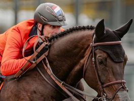 Springruiter Michael Greeve opent met foutloze jachtproef bij WK-debuut