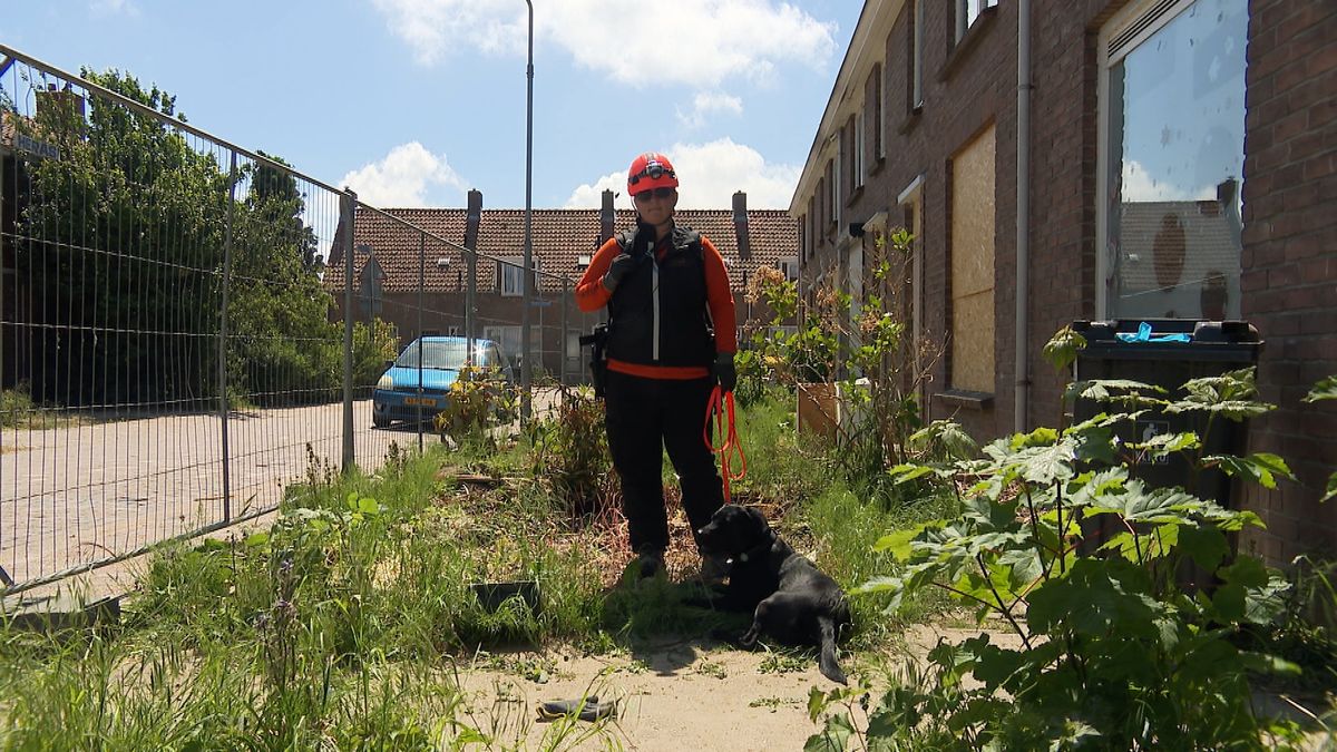 Reddingshonden trainen in sloopwoningen Goes: ‘Zo realistisch kunnen we zelden oefenen’