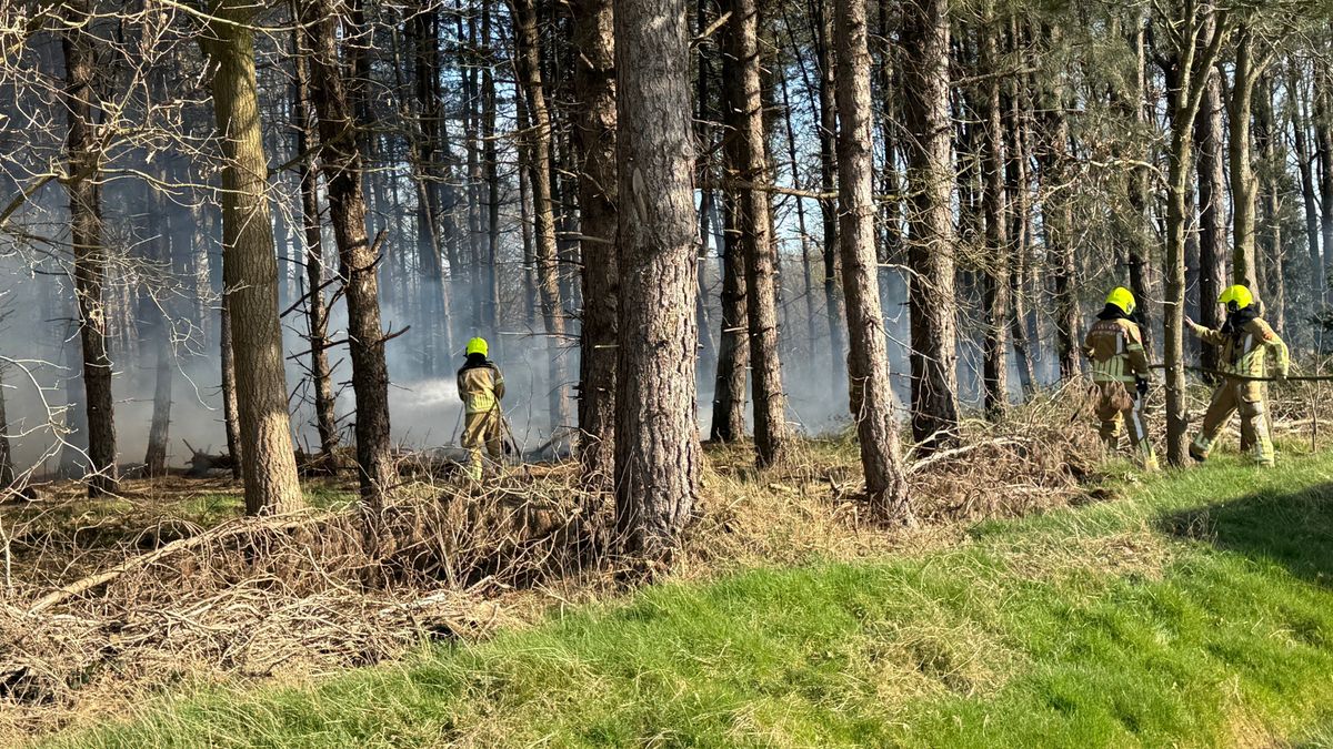 Bosbrand bij Leveroy richt flink wat schade aan