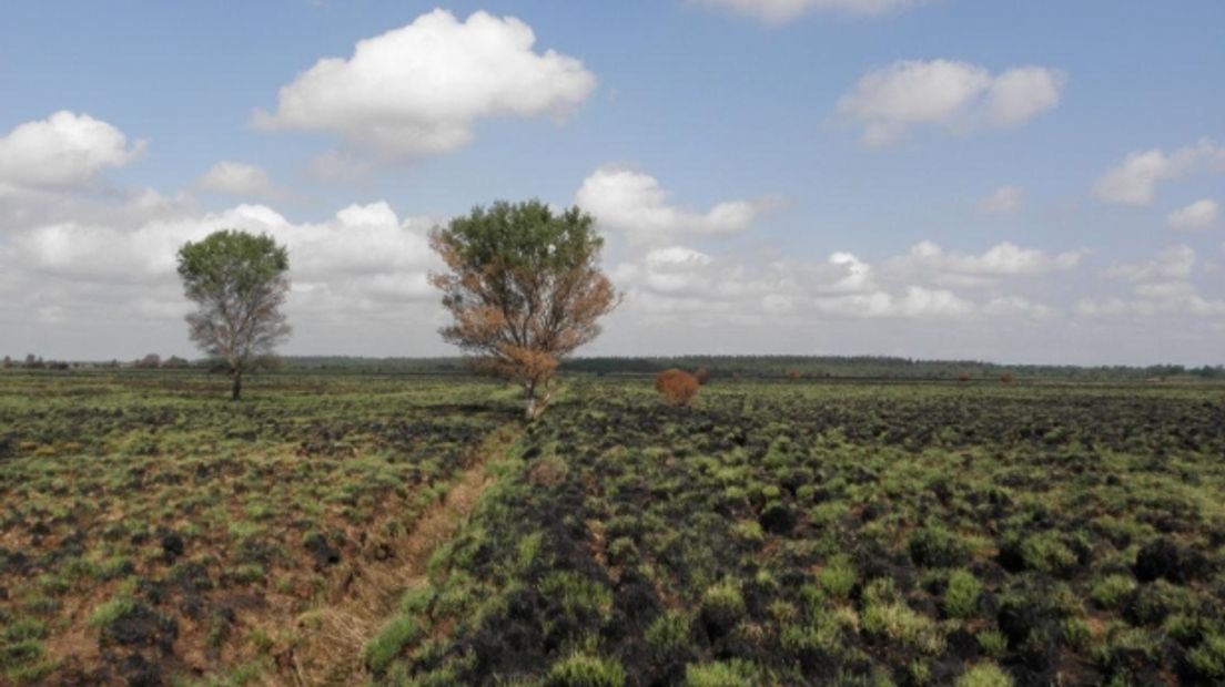 Veengebieden, zoals hier in Drenthe, stoten steeds meer CO2 uit (Rechten: archief RTV Drenthe)