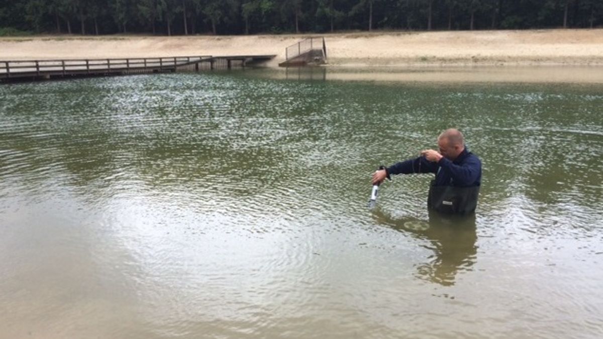 Gemeente Tynaarlo waarschuwt voor blauwalg bij Midlaren