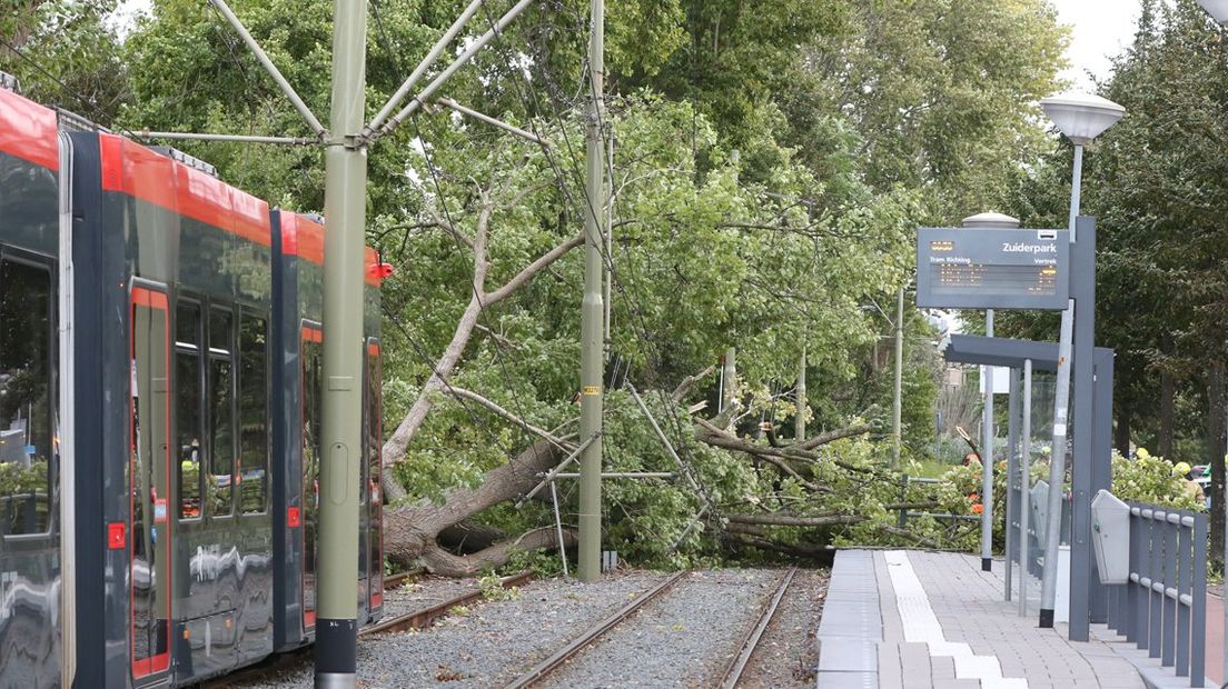 Een boom is op de bovenleiding gevallen