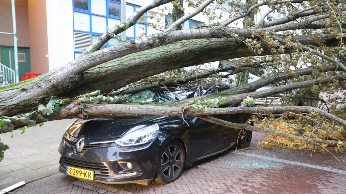 Aan de Tak van Poortvlietstraat raakte drie auto's beschadigd