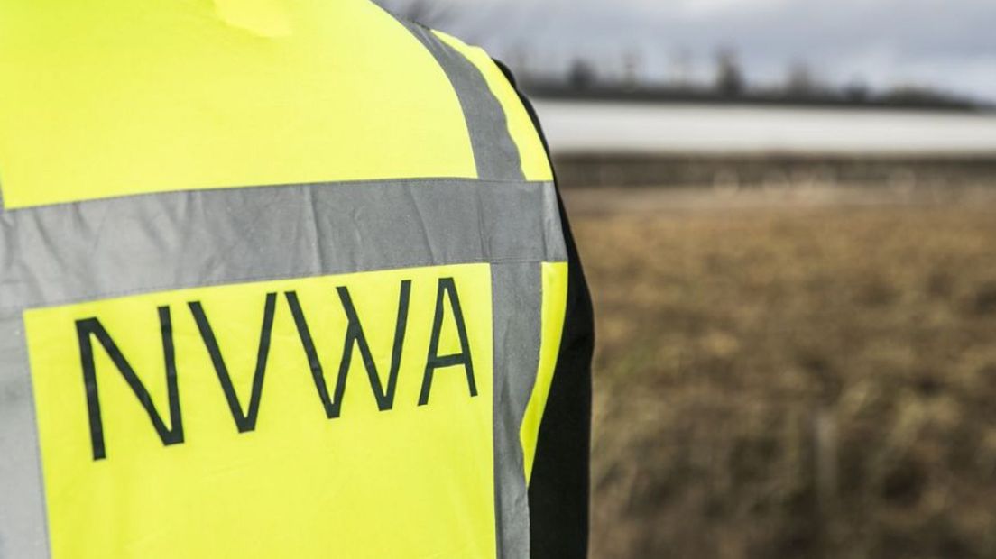 NVWA moet 24.000 kippen ruimen