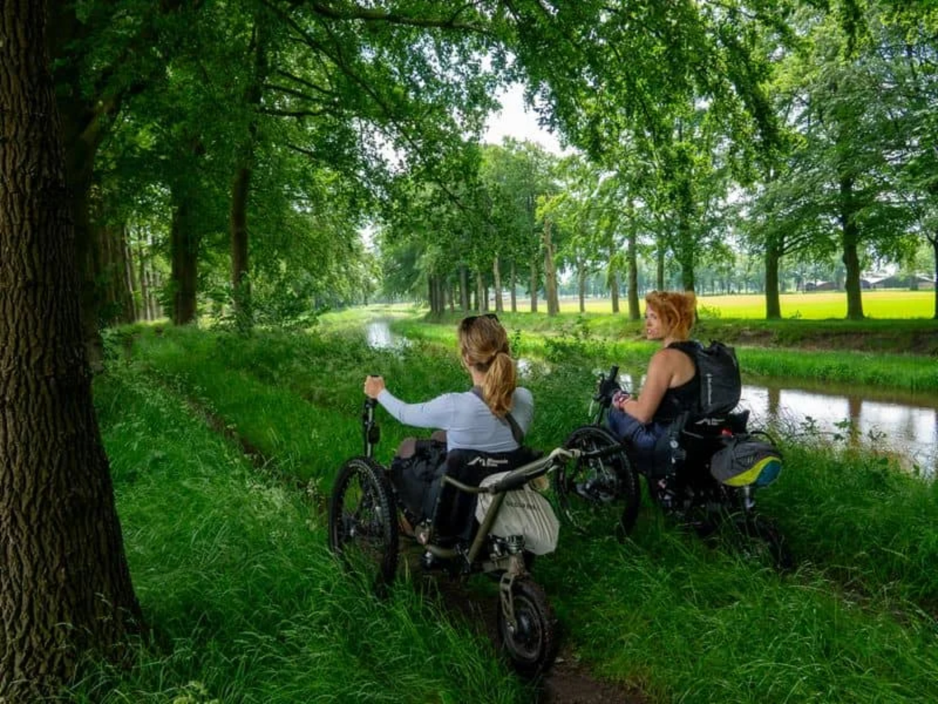 Nieuws